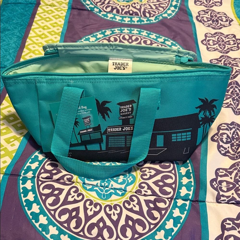 Trader Joe's Teal Insulated Food Storage Bag